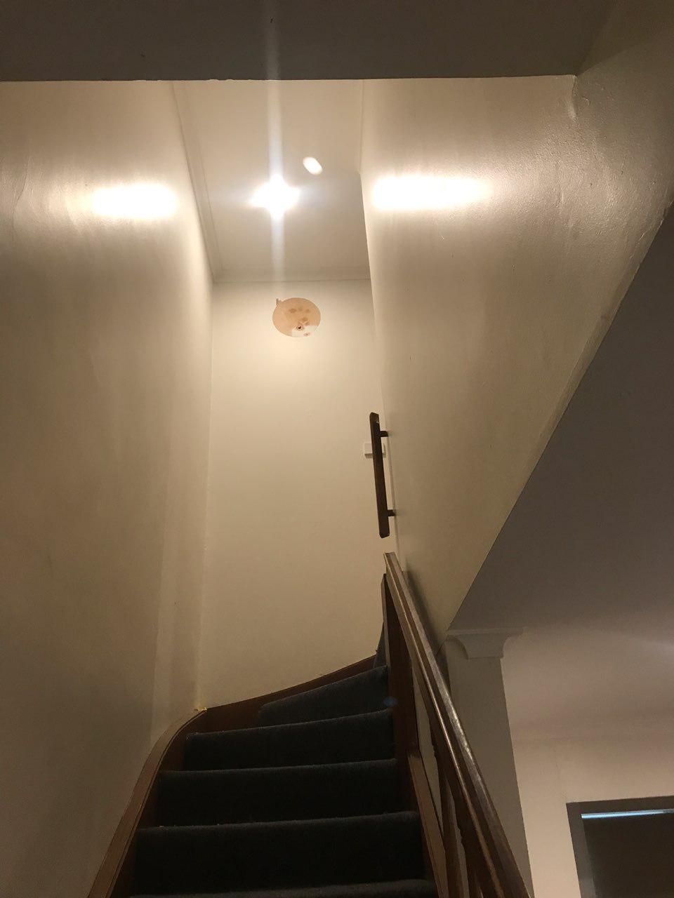 Golden Guys Painting Services